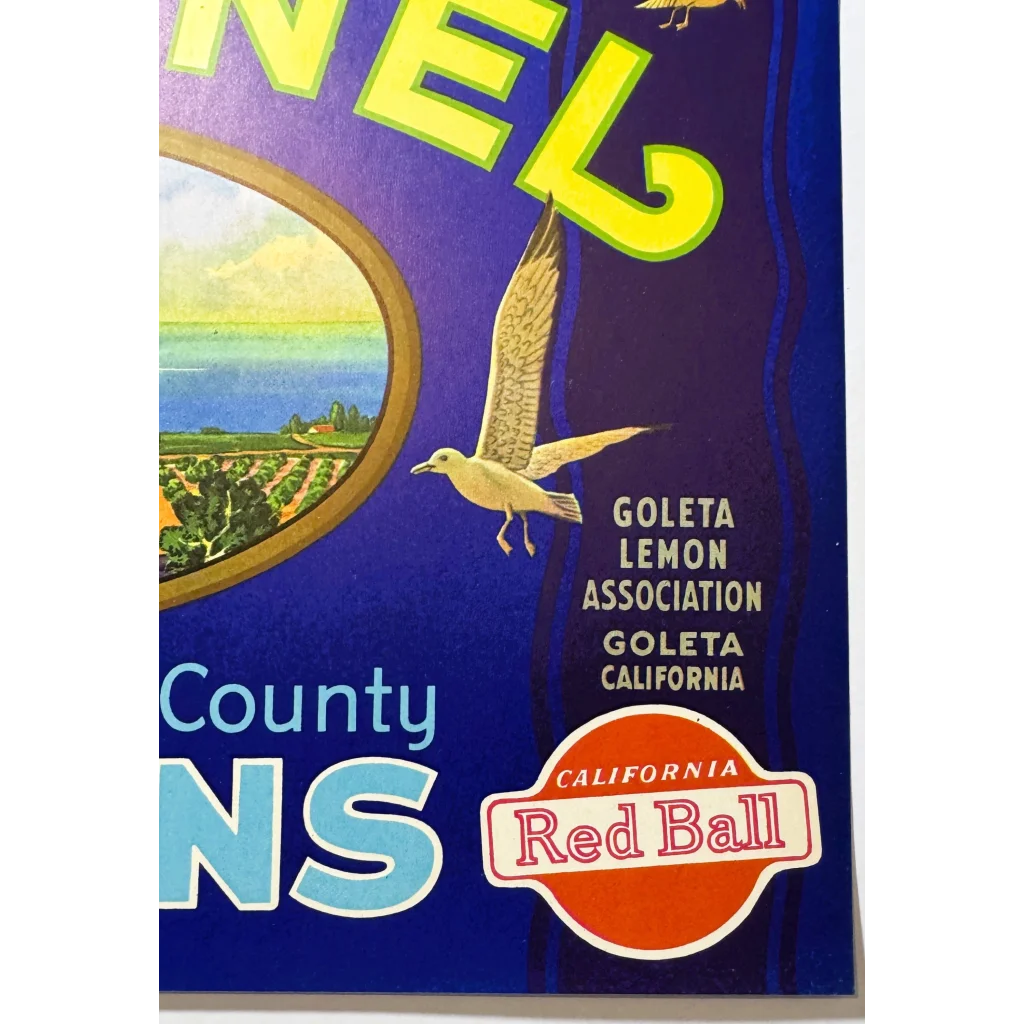 Vintage lemon crate label from Santa Barbara County Channel brand showcasing classic style