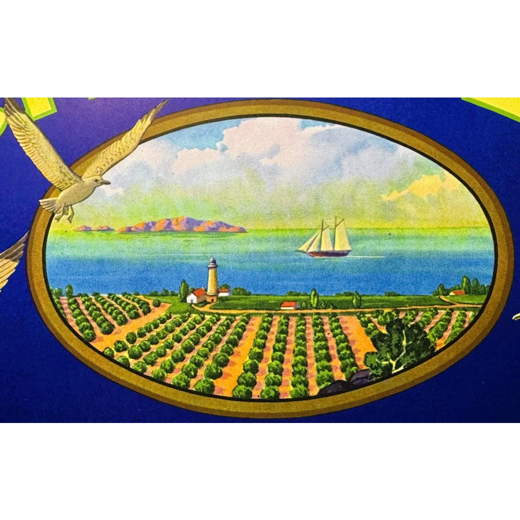 Vintage coastal landscape painting from Santa Barbara County Channel brand in the 1940s