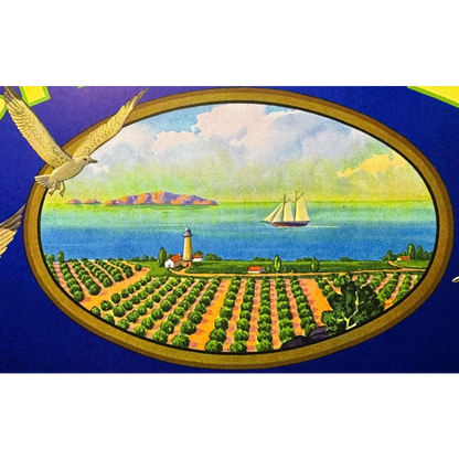 Vintage coastal landscape painting from Santa Barbara County Channel brand in the 1940s