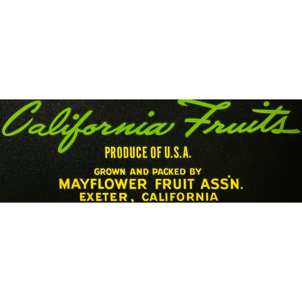Vintage Mayflower Fruit Association crate label in Rare 1950s fruit treasure