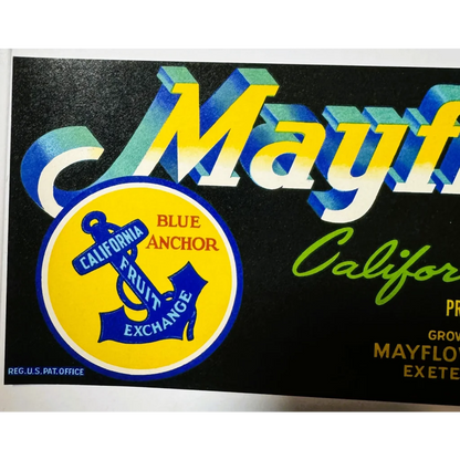 Vintage Mayflower Fruit Association crate label from 1950s, a true collectible treasure