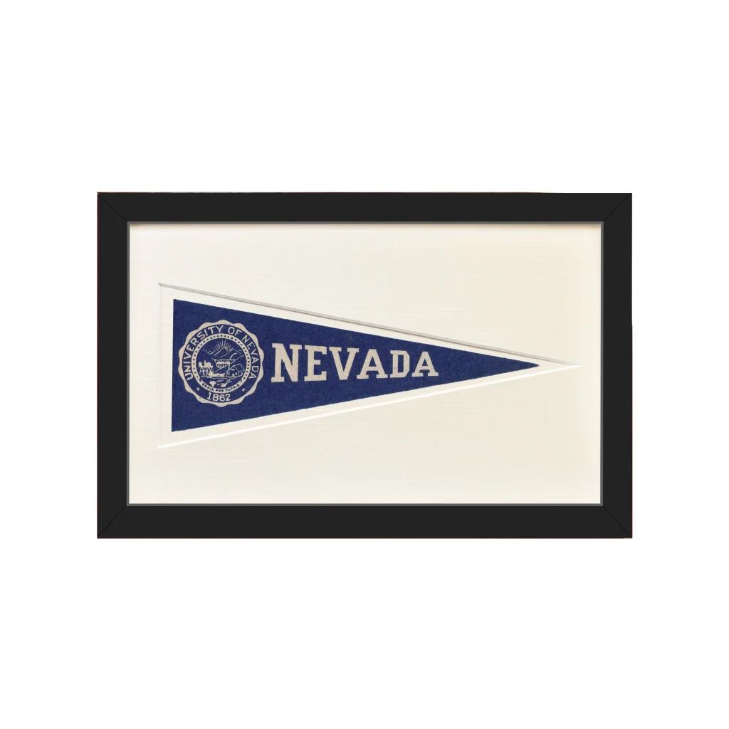 Vintage 1950s Nevada Hormel wool felt pennant with state seal