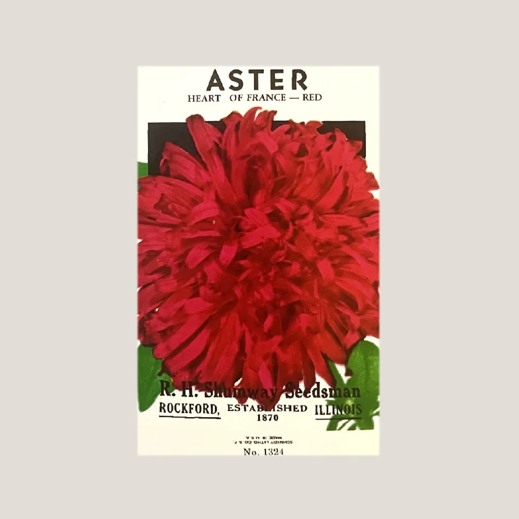 Vintage R.H. Shumway Aster seed packet from Dominion Park fan postcard collection