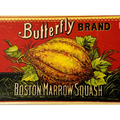 Vintage Boston Marrow Squash ad with antique 1890s butterfly label in original condition