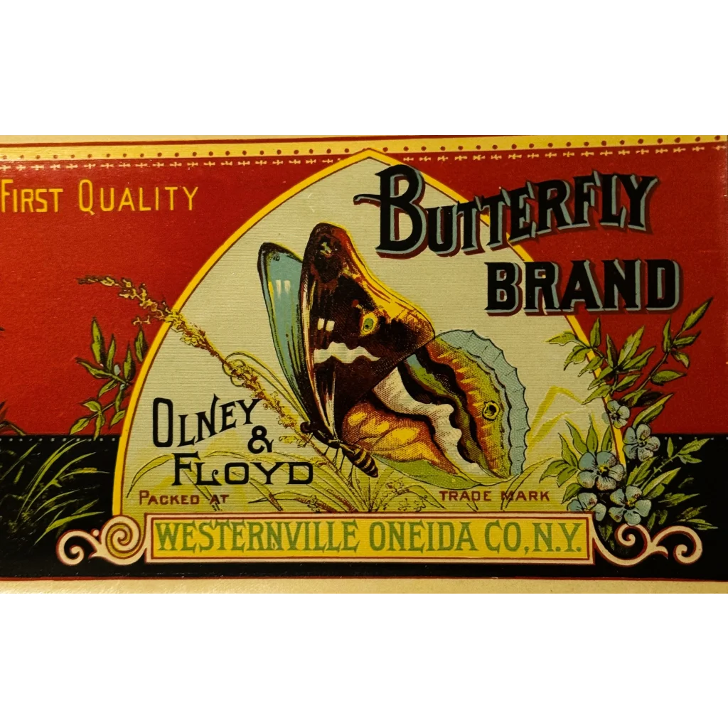 Vintage butterfly brand label from antique 1890s butterfly Boston Marrow Squash artifact