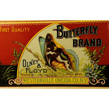 Vintage butterfly brand label from antique 1890s butterfly Boston Marrow Squash artifact