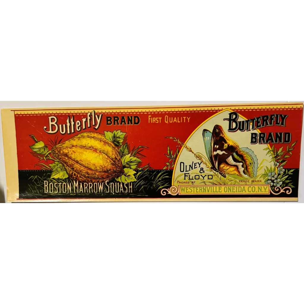 Vintage Boston Marrow Squash label from an antique 1890s butterfly Boston collection