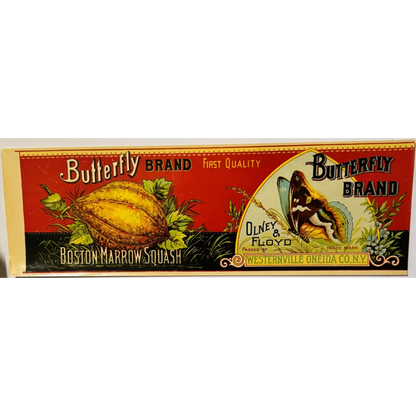 Vintage Boston Marrow Squash label from an antique 1890s butterfly Boston collection