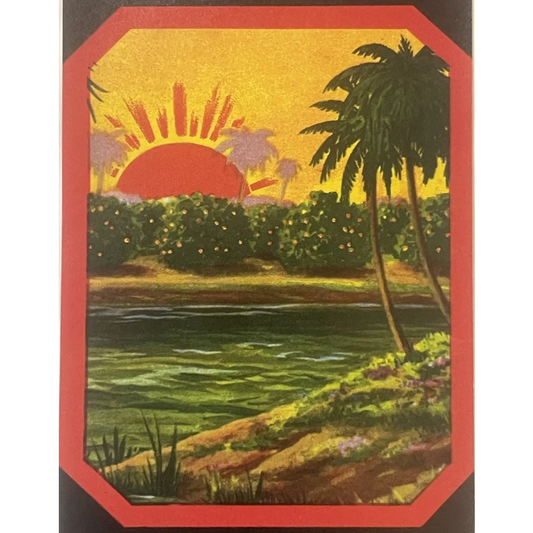 Rare Antique Vintage 🌞 1940s Shine Crate Label Orlando FL Historic Tropical Decor! - Advertisements - and Can Labels.