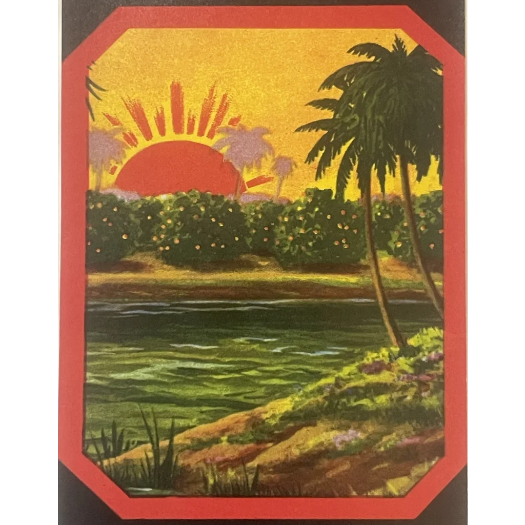 Rare Antique Vintage 🌞 1940s Shine Crate Label Orlando FL Historic Tropical Decor! Advertisements and Gifts Home