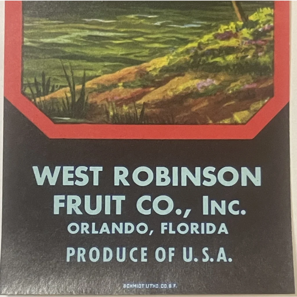 Rare Antique Vintage 🌞 1940s Shine Crate Label Orlando FL Historic Tropical Decor! Advertisements and Gifts Home