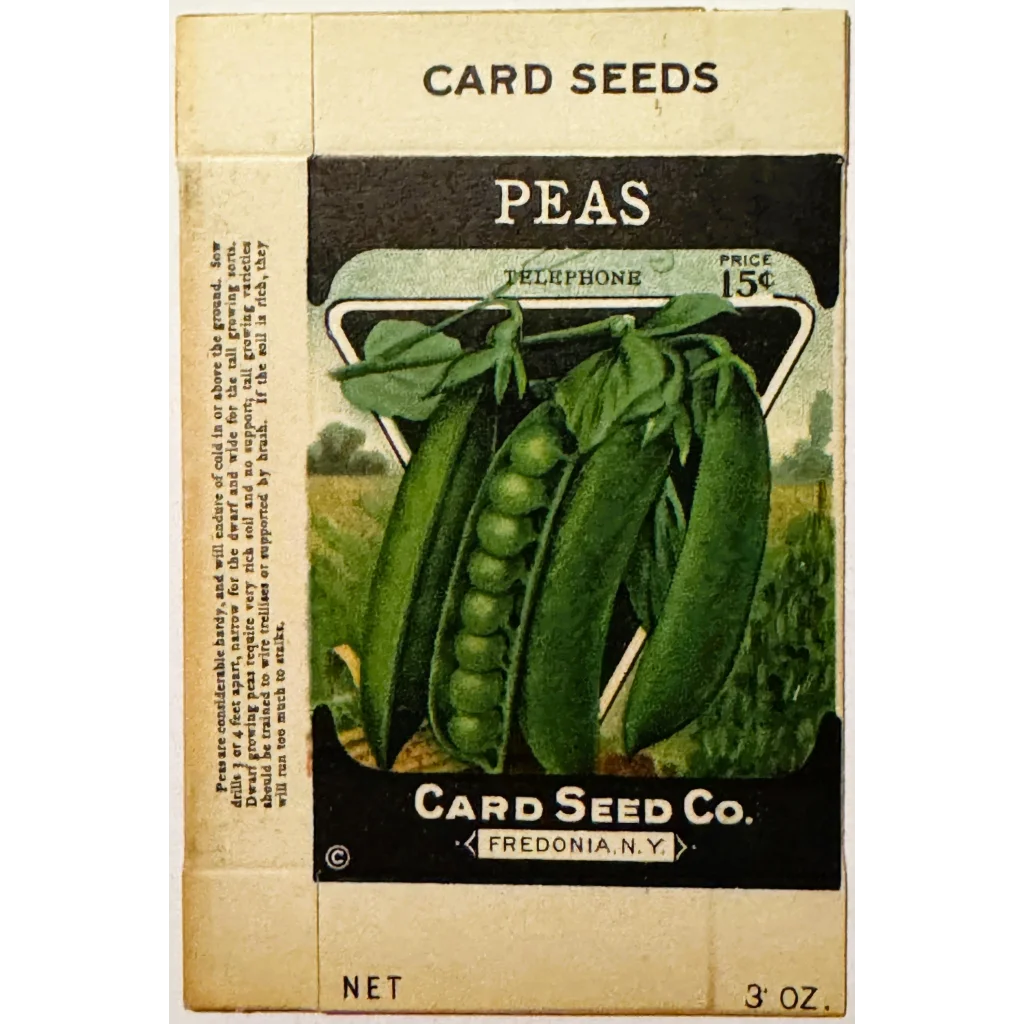 Rare Antique Vintage Pea Box from Card Seed Company Discovered