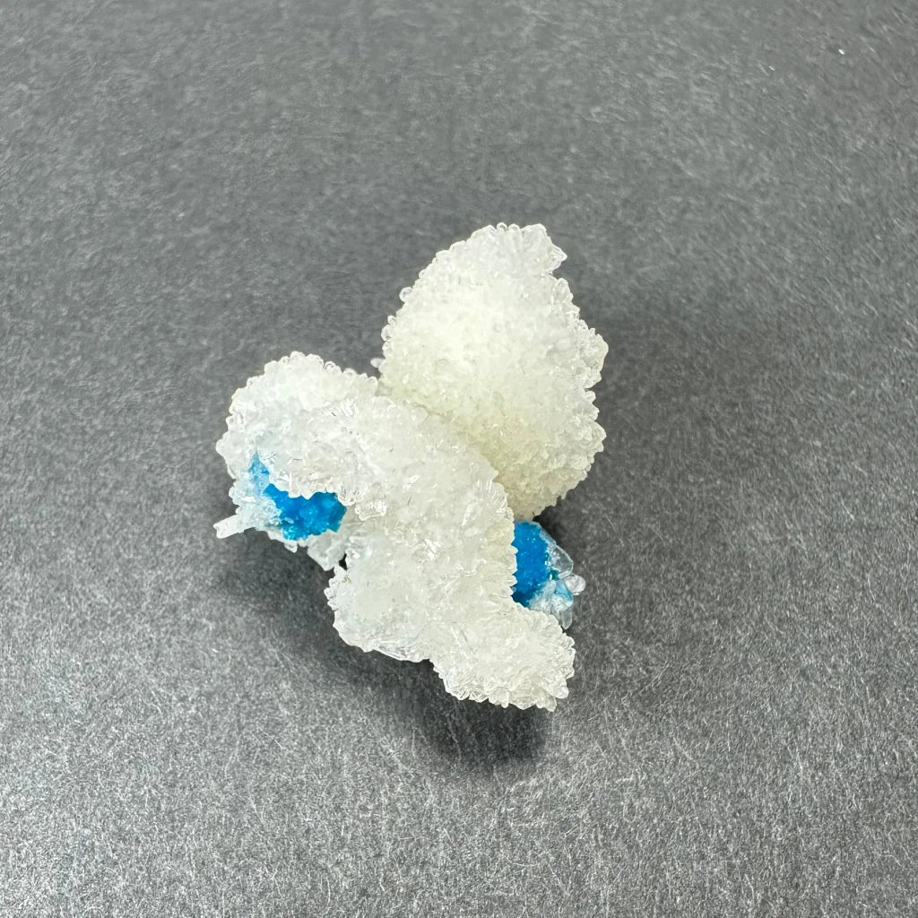 Rare Blue Cavansite Crystal Cluster from India with translucent white crystals and vibrant blue accents