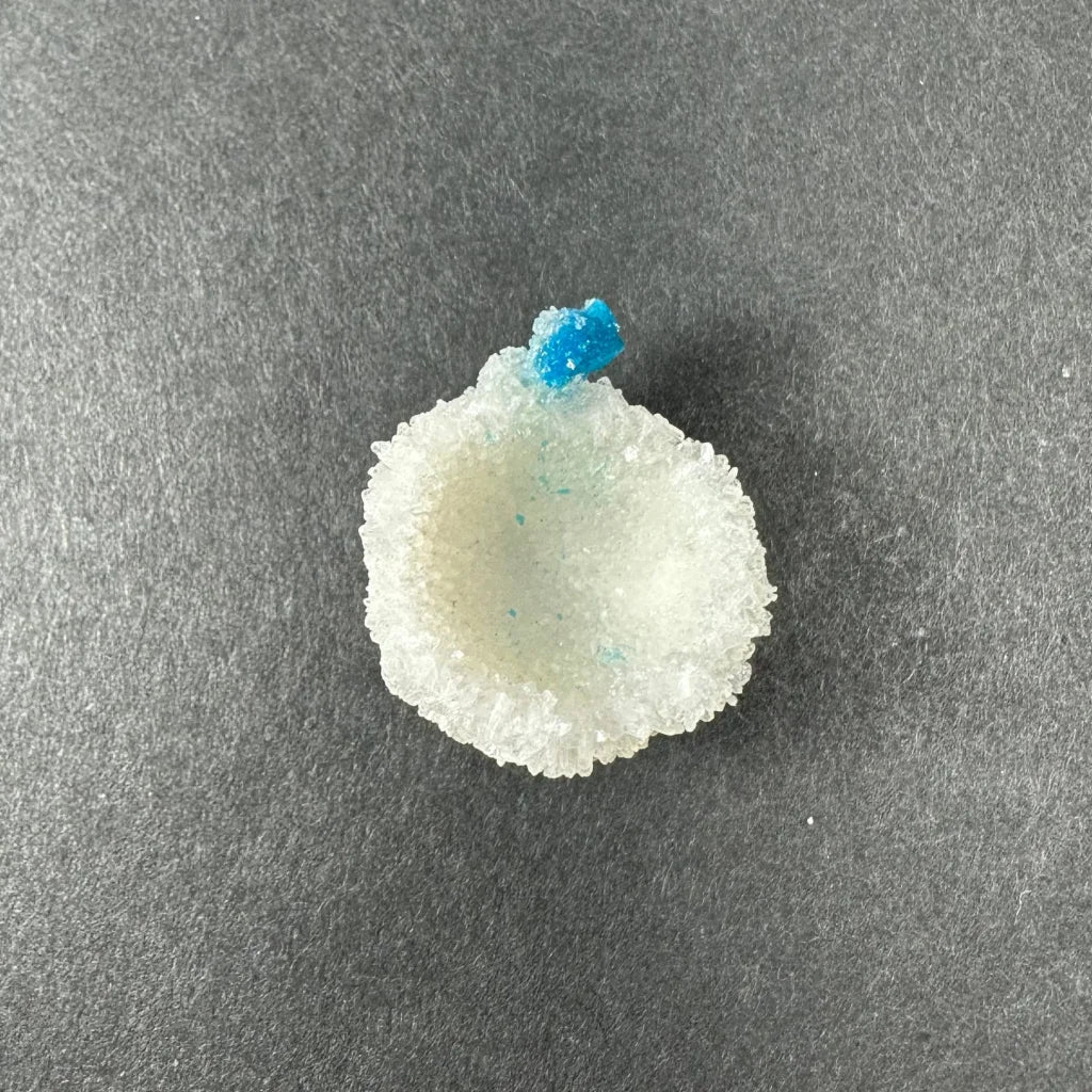 Rare blue Cavansite crystal cluster from India, translucent shell-shaped candy with protruding sugar crystal