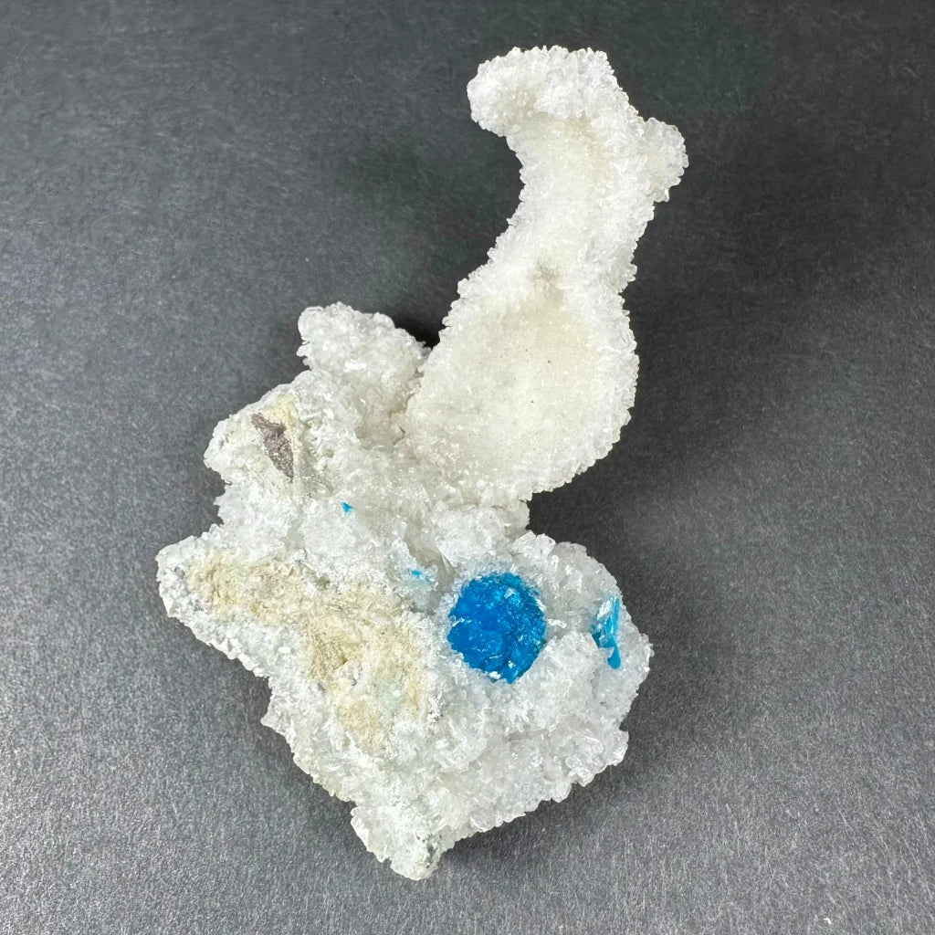 Rare blue Cavansite crystal on white stilbite from India