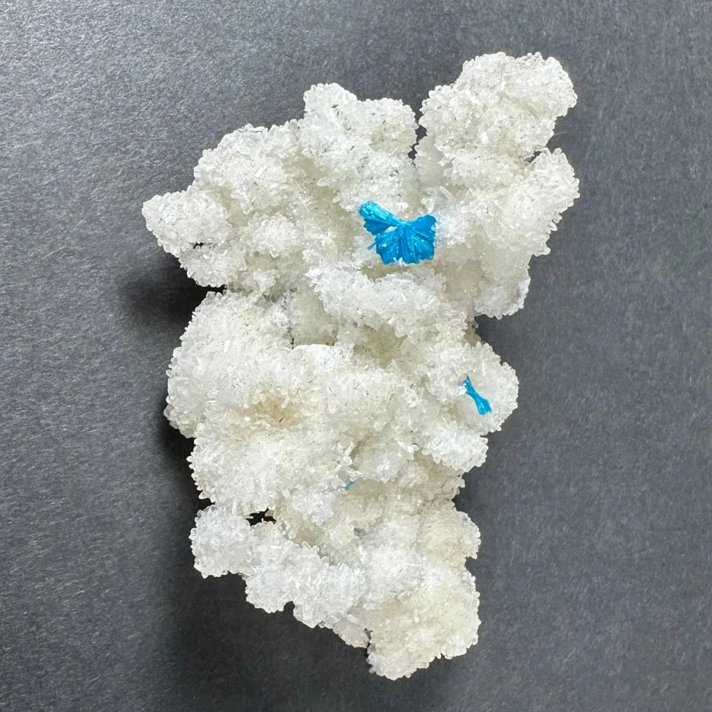 Rare blue cavansite crystal on white stilbite from India with butterfly
