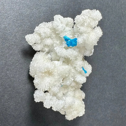 Rare blue cavansite crystal on white stilbite from India with butterfly