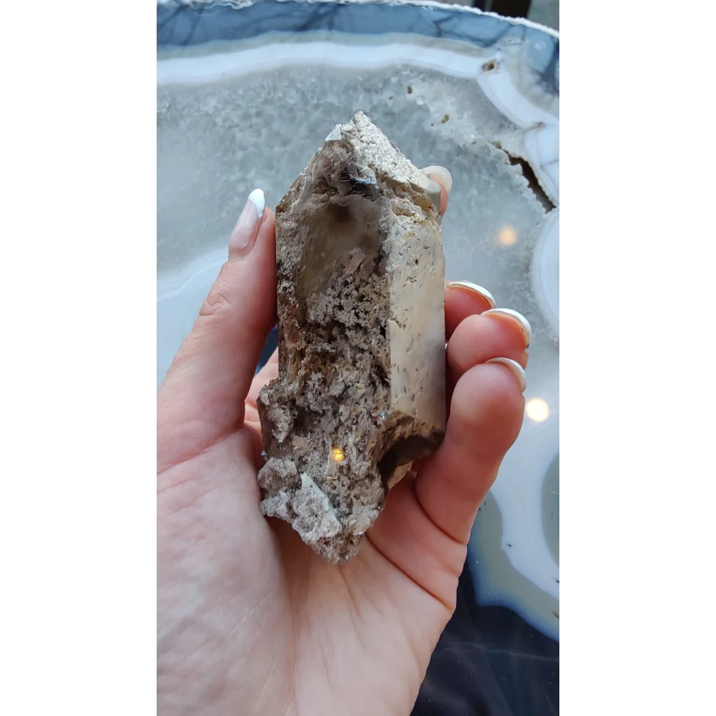 Rare Brazilian smokey quartz point with lodalite inclusions