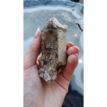 Rare Brazilian smokey quartz point with lodalite inclusions