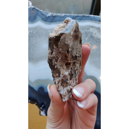 Rare Brazilian smokey quartz point geode with lodalite inclusions