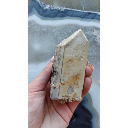 Hand holding rare Brazilian smokey quartz point with lodalite inclusions