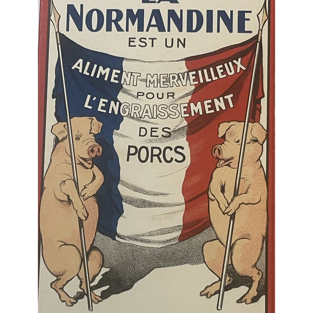 Rare Large Antique Vintage 🐖 1910s La Normandine Pig 💊 Medicine Box Farm Decor! Advertisements and Gifts Home page