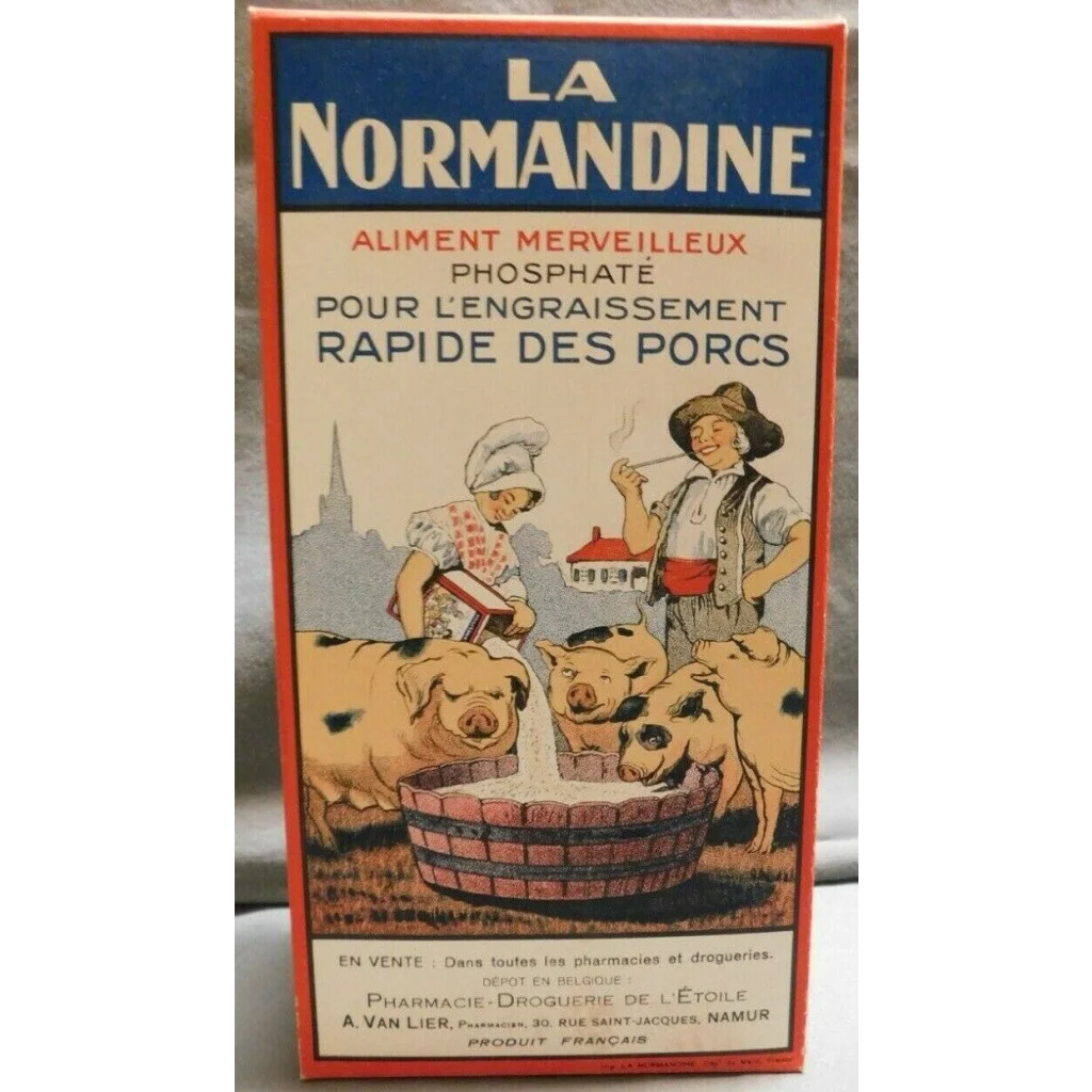 Rare Large Antique Vintage 🐖 1910s La Normandine Pig 💊 Medicine Box Farm Decor! Advertisements Collectible Items