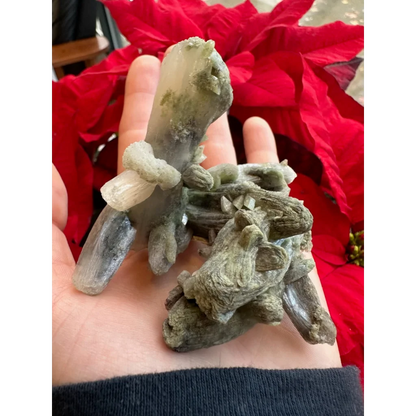 Hand holding rare marshy stilbite cluster from India with green quartz crystals