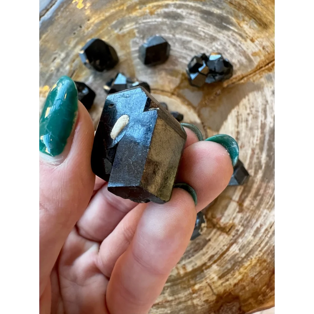 Hand holding rare melanite garnet crystal from Kayes Region, Mali