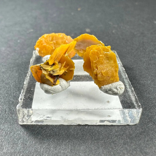 Rare micro wulfenite crystal clusters from Morocco on glass stand