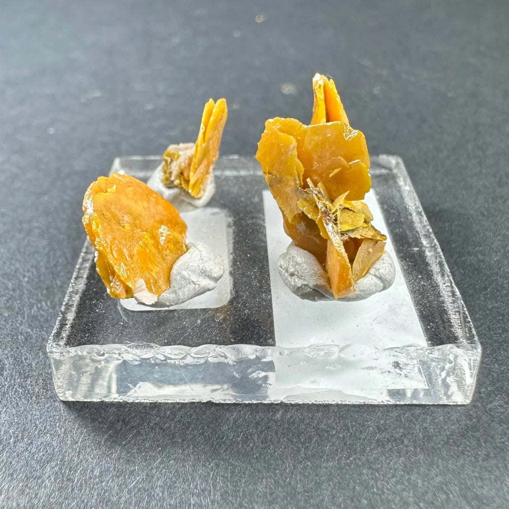 Rare micro wulfenite crystal clusters from Morocco in glass case