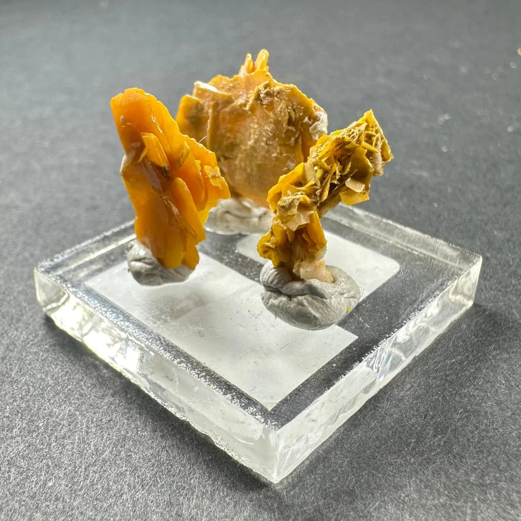 Vibrant orange-yellow Moroccan Wulfenite crystal clusters on acrylic base