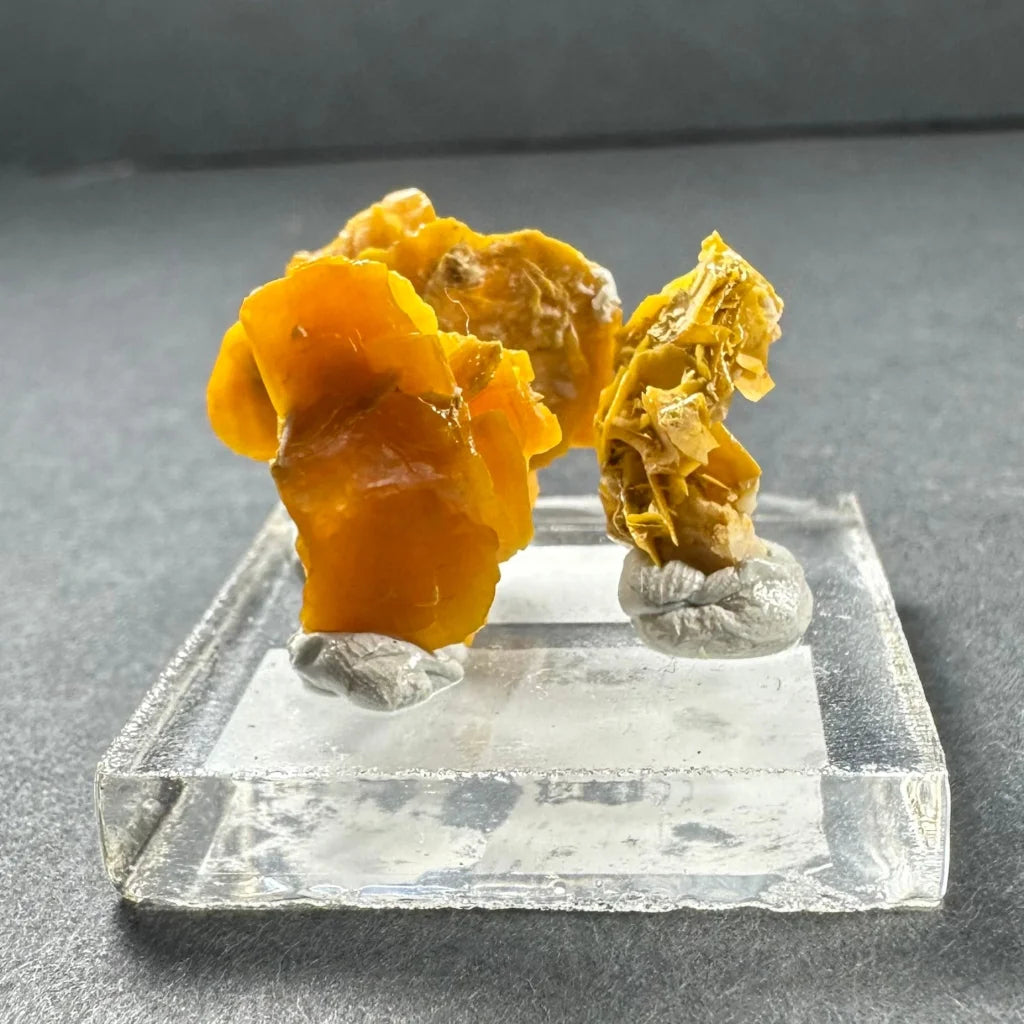 Rare Moroccan Wulfenite crystal clusters in vibrant orange yellow on clear base