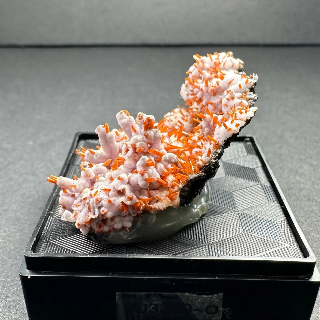 Rare Tasmanian Crocoite crystal with pink-orange coral-like formations