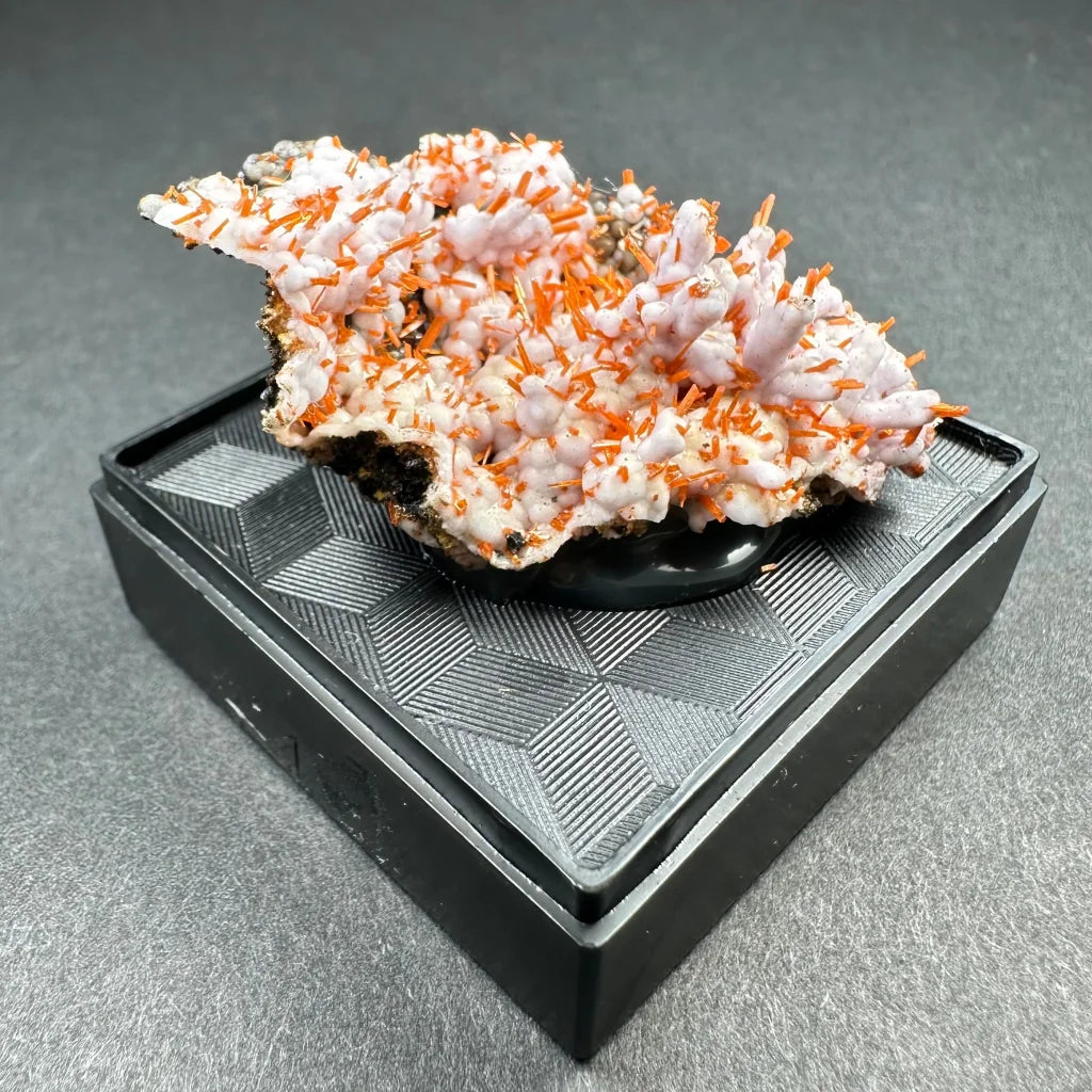 Rare Tasmanian Crocoite with pink-orange spiky crystals on black base