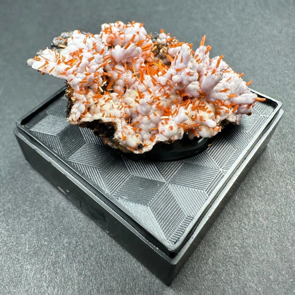 Rare Tasmanian Crocoite with pale pink-orange branching crystals on black base
