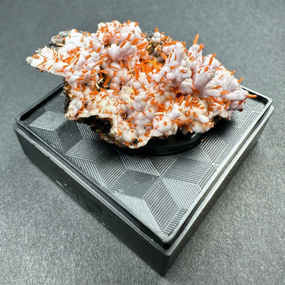 Rare Tasmanian Crocoite with pale pink-orange branching crystals on black base