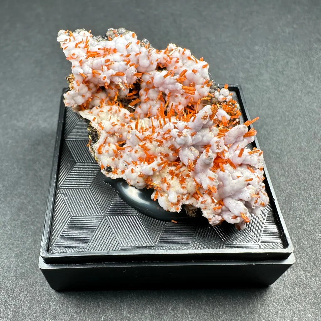 Rare Tasmanian Crocoite with fiery orange needle crystals on black base