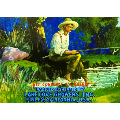 Vintage 1950s Lakecove Bartlett Pears crate label showcasing antique vintage fruit art