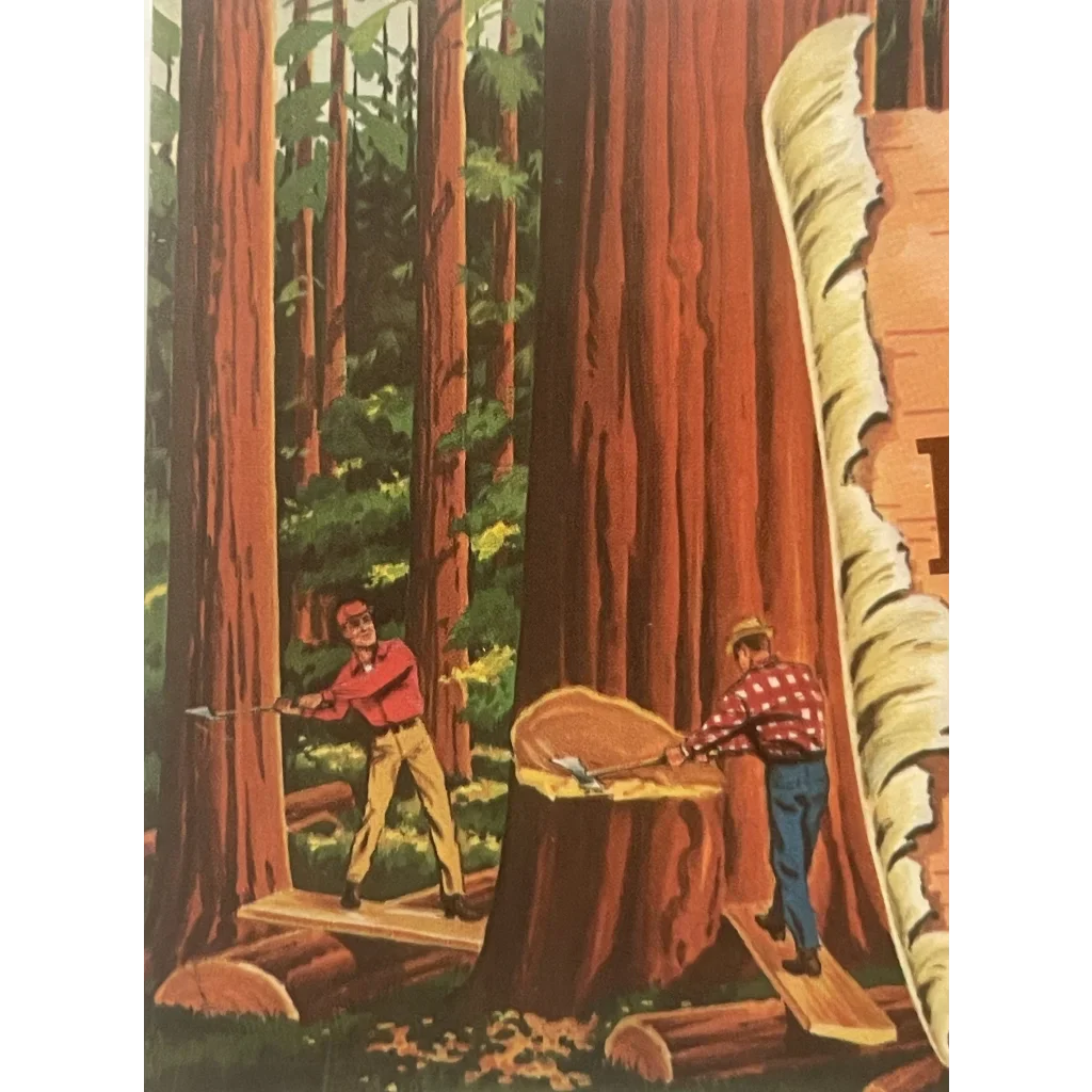 Two lumberjacks felling trees in a redwood forest near Van Camps Beans vintage label