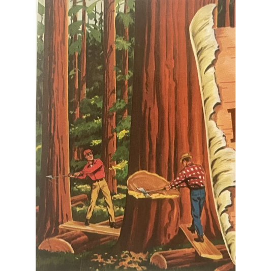 Two lumberjacks felling trees in a redwood forest near Van Camps Beans vintage label