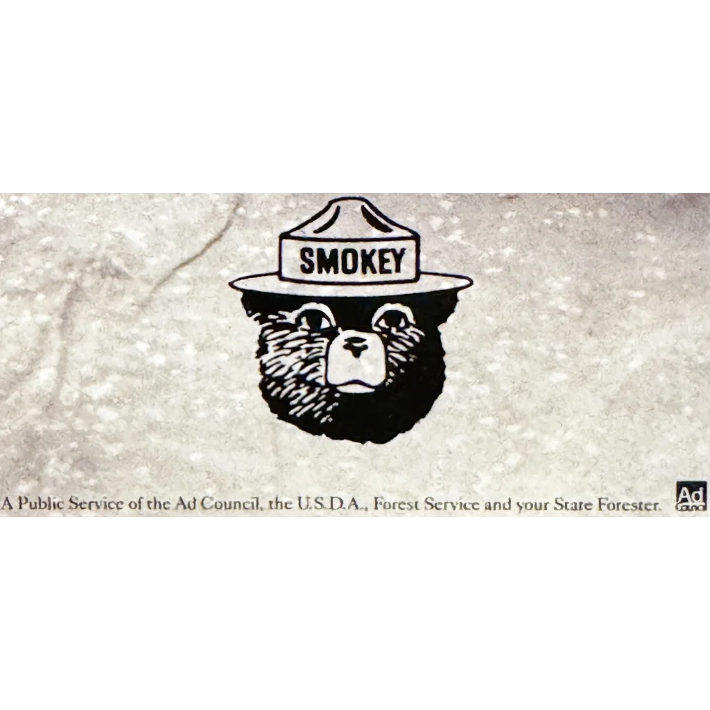 ヴィンテージ品‼️70s Smokey Bear/スモーキーベア貯金箱 アメリカン レトロ コインバンク 鋳鉄 キャストアイアン スモーキー
