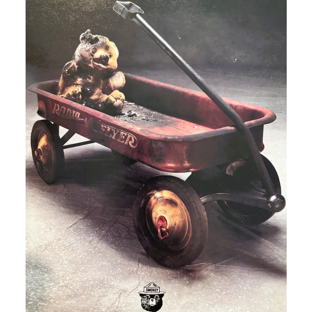 ヴィンテージ品‼️70s Smokey Bear/スモーキーベア貯金箱 アメリカン レトロ コインバンク 鋳鉄 キャストアイアン スモーキー