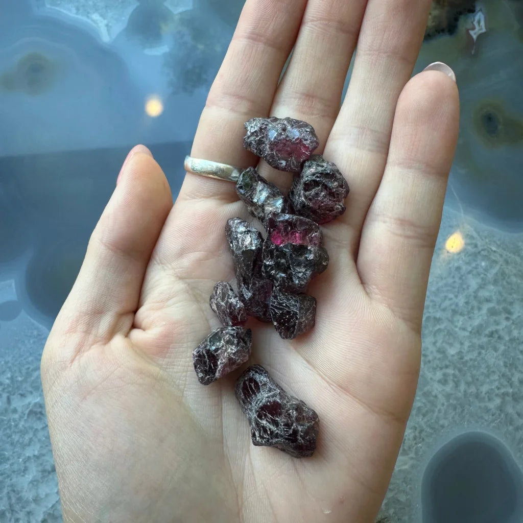 Hand holding raw garnet stones in deep red and purple hues