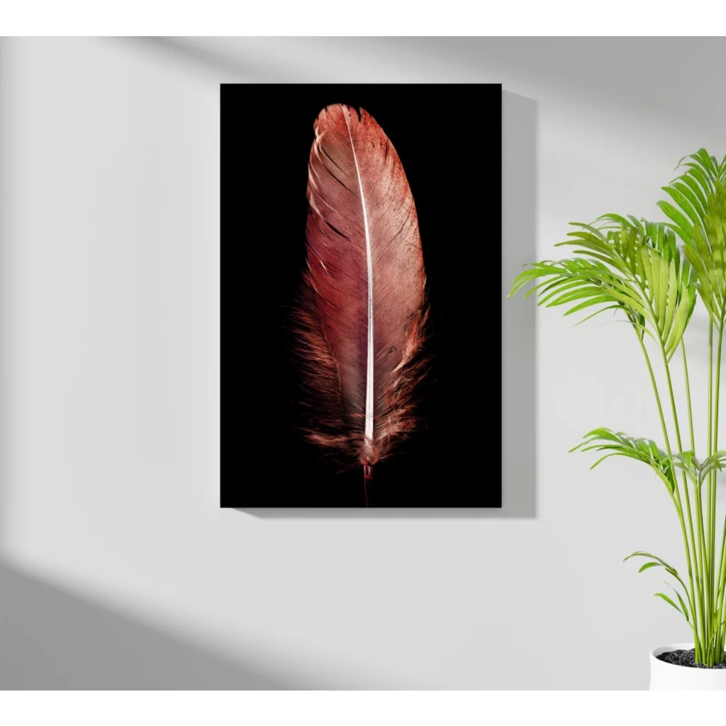 Stunning copper feather on insigne aluminum print, black background