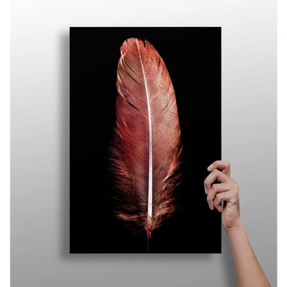 Stunning Copper Feather Insigne Aluminum Prints | Insigneart USA | vintageantiquesgifts.com