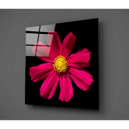 Stunning Pink Cosmos Glass Wall Art on Black Panel | Glass Wall Art Print | vintageantiquesgifts.com