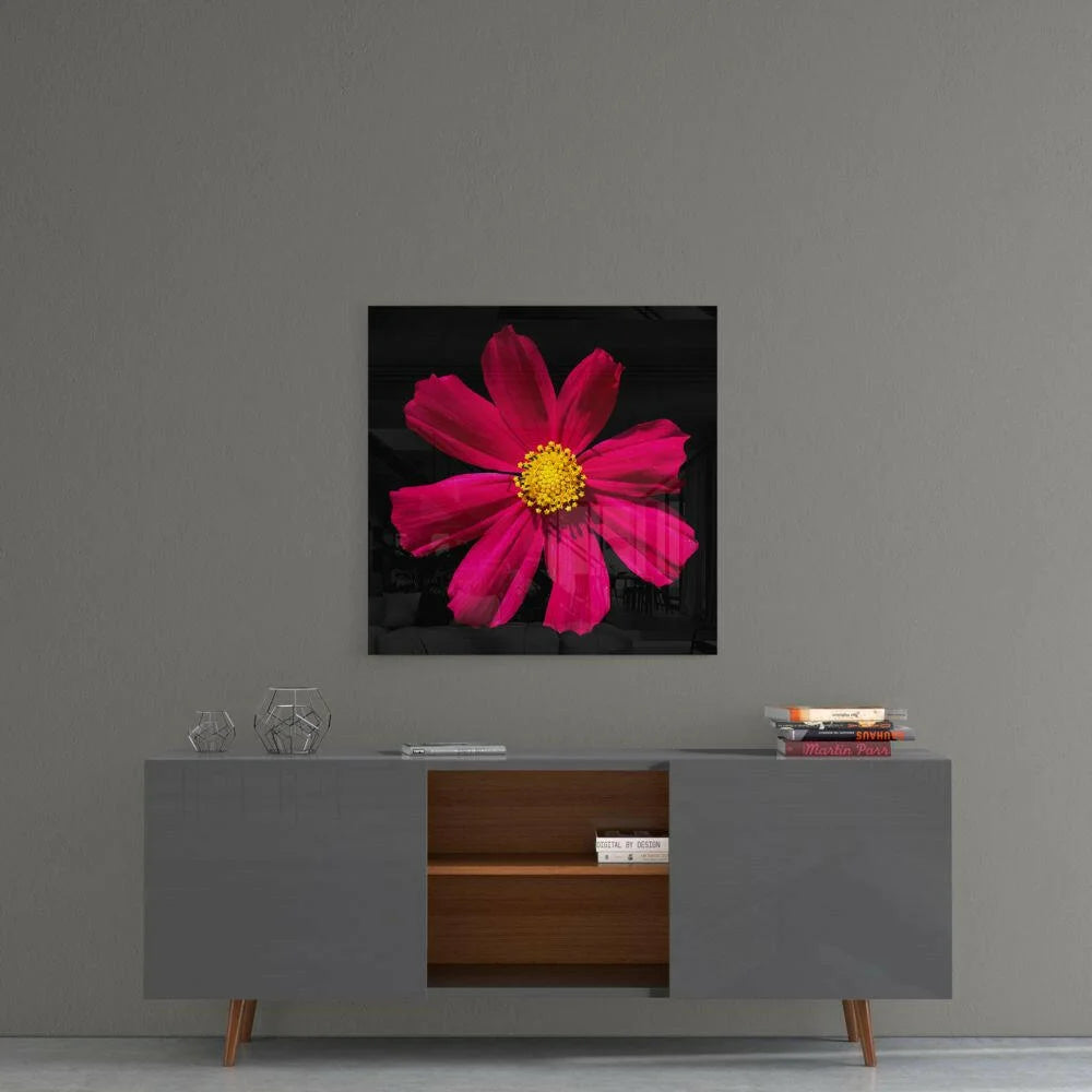 Stunning Pink Cosmos Glass Wall Art on Black Panel | Contemporary Home Wall Art | vintageantiquesgifts.com