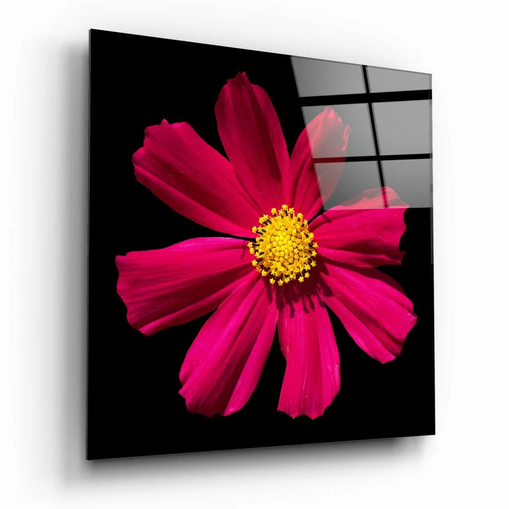 Stunning Pink Cosmos Glass Wall Art on Black Panel | Insigneart USA | vintageantiquesgifts.com