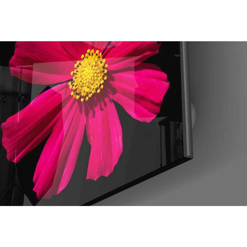 Stunning Pink Cosmos Glass Wall Art on Black Panel | Modern Wall Art Decor | vintageantiquesgifts.com